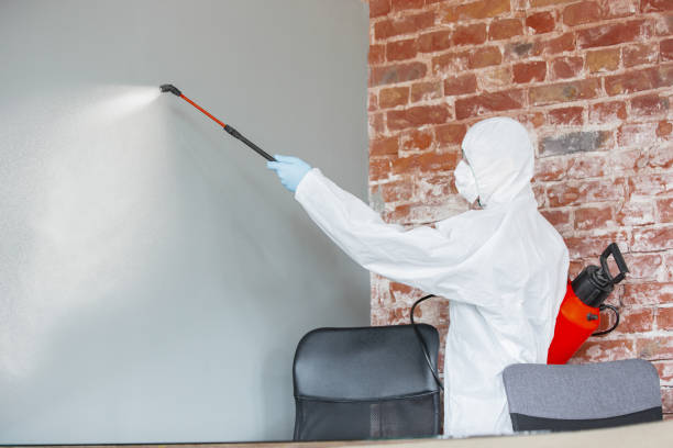 Best Forensic Mold Investigation  in Greenfield, CA